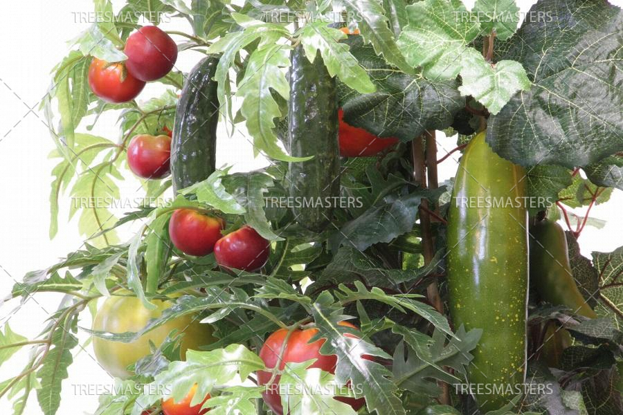 Настольный огород с томатами и огурцами Настольный огород с томатами и огурцами