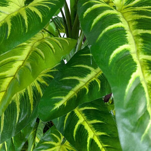 Фотография крупных глянцевых листьев искусственной Монстеры с проработанными деталями
